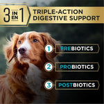 Purina Purina Pro Plan AdvantEDGE Digestive Support+ Salmon & Oat Meal Formula Adult Dry Dog Food