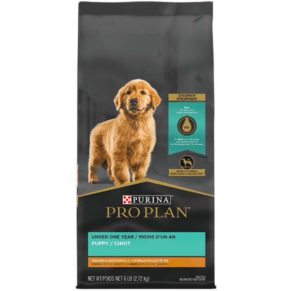 Purina Purina Pro Plan Chicken & Rice Formula Dry Puppy Food, 6lb