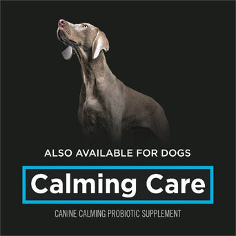 Purina Purina Pro Plan Veterinary Supplements Calming Care: Powdered Calming Probiotic Supplement for Cats