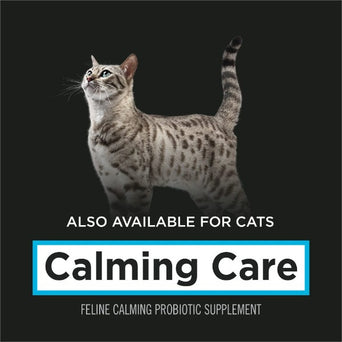 Purina Purina Pro Plan Veterinary Supplements Calming Care: Powdered Calming Probiotic Supplement for Dogs