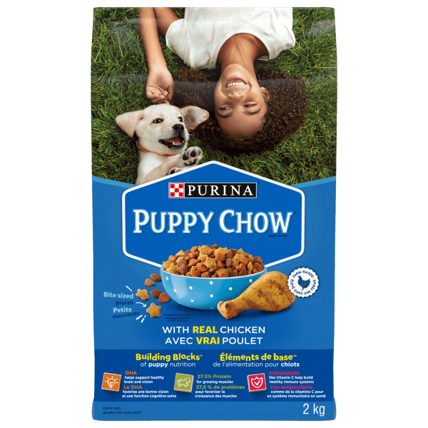 Purina Purina Puppy Chow Dry Dog Food