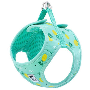 RC Pets RC Dog Step in Cirque Harnesses