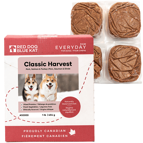 Red Dog Blue Kat Red Dog Blue Kat Everyday Raw Classic Harvest Recipe