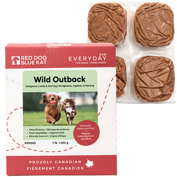 Red Dog Blue Kat Red Dog Blue Kat Everyday Raw Wild Outback Recipe