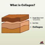 RedBarn Pet Products RedBarn Bully Wrapped Collagen Stick
