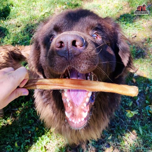 RedBarn Pet Products RedBarn Collagen Stick