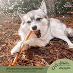 RedBarn Pet Products RedBarn Collagen Stick