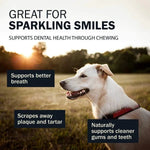 RedBarn Pet Products RedBarn Collagen Wrapped Esophagus Stick