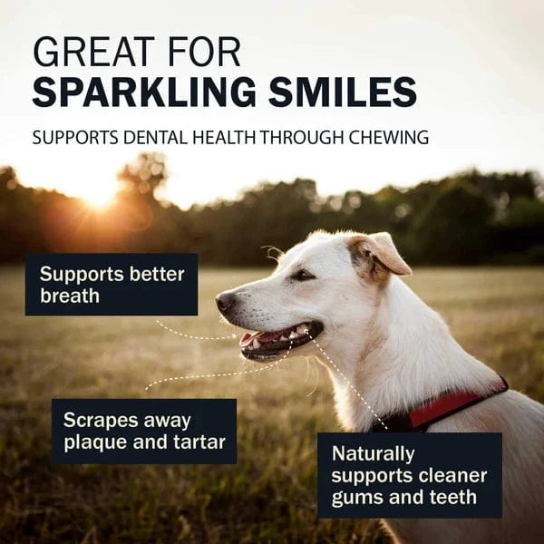 RedBarn Pet Products RedBarn Collagen Wrapped Esophagus Stick