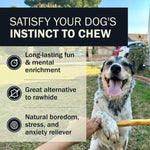 RedBarn Pet Products RedBarn Collagen Wrapped Esophagus Stick
