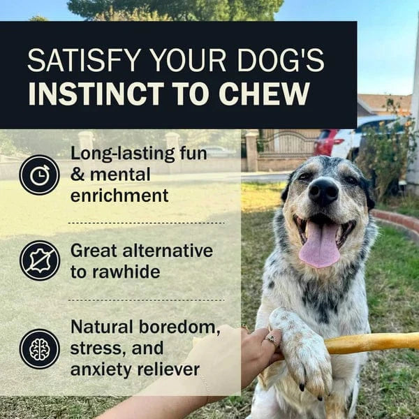 RedBarn Pet Products RedBarn Collagen Wrapped Esophagus Stick