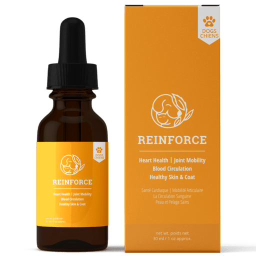 Reelax Pet Sciences Reinforce Oil for Dogs