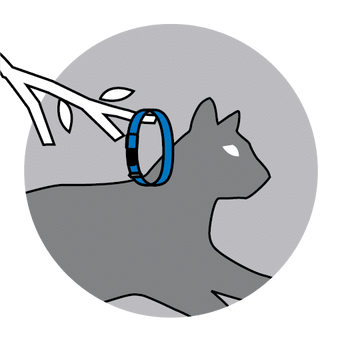 Rogz Rogz Sparkle Cat Safety Release Collar