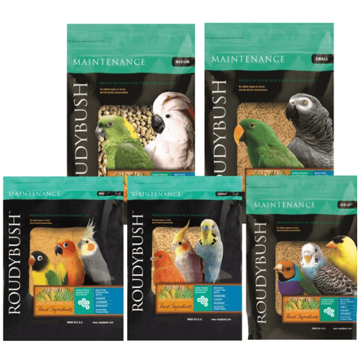 Roudybush Maintenance Bird Food; Different Sizes Available