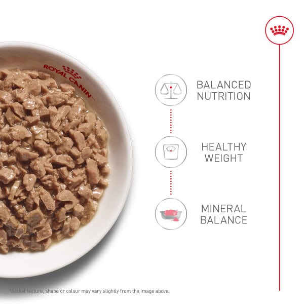 Royal Canin Royal Canin Adult Instinctive Thin Slices in Gravy Canned Cat Food 12 Pack
