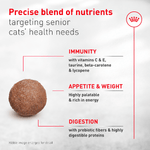 Royal Canin Royal Canin Aging 11+ Adult Dry Cat Food, 6lb