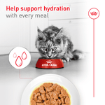Royal Canin Royal Canin Aging 11+ Thin Slices in Gravy Canned Cat Food, 85g