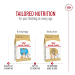 Royal Canin Royal Canin Bulldog Adult Dry Dog Food, 30lb