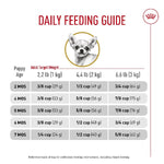 Royal Canin Royal Canin Chihuahua Puppy Dry Dog Food, 2.5lb