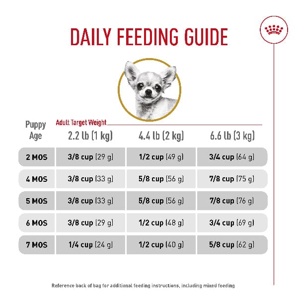 Royal Canin Royal Canin Chihuahua Puppy Dry Dog Food, 2.5lb