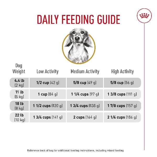 Royal Canin Royal Canin Dachshund Adult Dry Dog Food