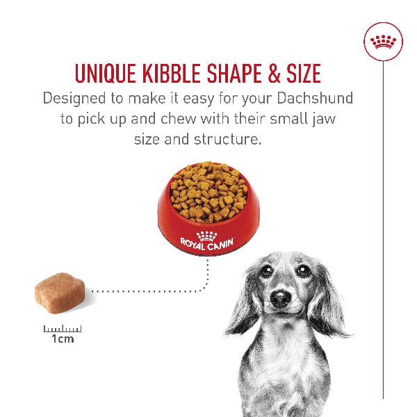 Royal Canin Royal Canin Dachshund Adult Dry Dog Food