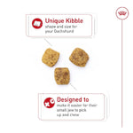 Royal Canin Royal Canin Dachshund Adult Dry Dog Food
