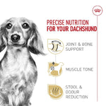 Royal Canin Royal Canin Dachshund Adult Dry Dog Food