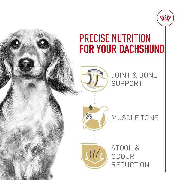 Royal Canin Royal Canin Dachshund Adult Dry Dog Food