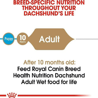 Royal Canin Royal Canin Dachshund Loaf In Sauce Canned Dog Food
