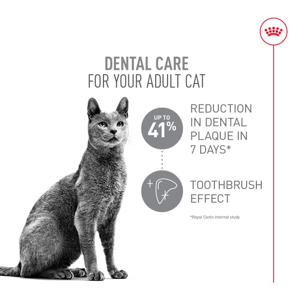 Royal Canin Royal Canin Dental Care Adult Dry Cat Food