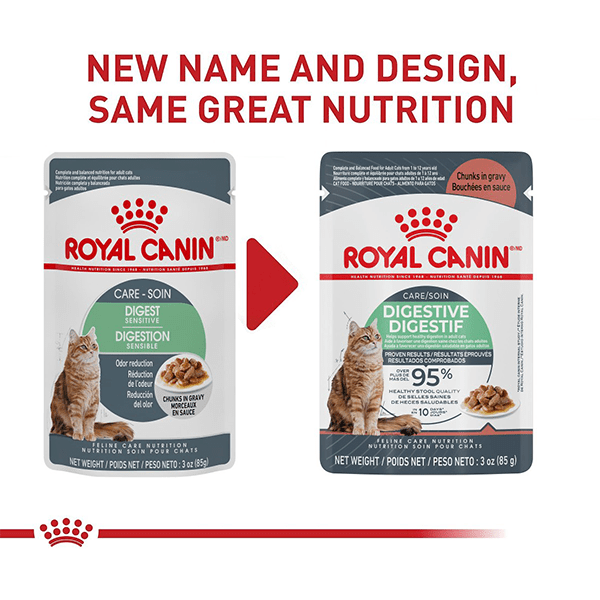 Digestive care royal canin cat deals