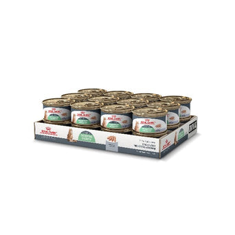 Royal Canin Royal Canin Digestive Care Loaf in Sauce Canned Cat Food, 145g