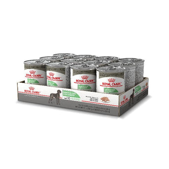 Royal Canin Royal Canin Digestive Care Loaf in Sauce Canned Dog Food, 385g