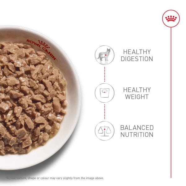 Royal Canin Royal Canin Digestive Care Thin Slices in Gravy Canned Cat Food, 85g