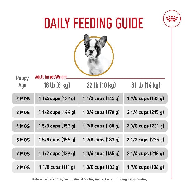Weight Chart French Bulldog Puppy Diet Royal Canin French Bulldog