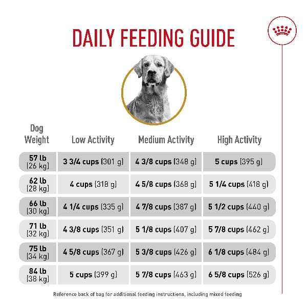 Royal Canin Royal Canin Golden Retriever Adult Dry Dog Food, 30lb