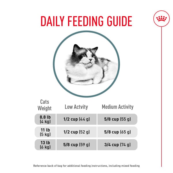 Royal Canin Royal Canin Hairball Care Dry Cat Food