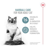 Royal Canin Royal Canin Hairball Care Dry Cat Food