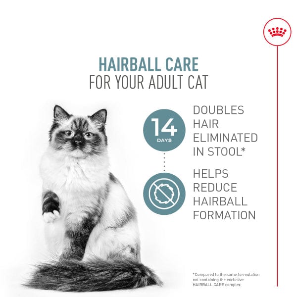 Royal Canin Royal Canin Hairball Care Dry Cat Food