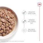 Royal Canin Royal Canin Indoor Adult Morsels in Gravy Canned Cat Food, 85g