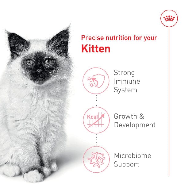 Royal Canin Royal Canin Kitten Dry Cat Food
