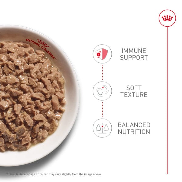 Royal Canin Royal Canin Kitten Thin Slices in Gravy Canned Cat Food 12 Pack