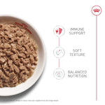 Royal Canin Royal Canin Kitten Thin Slices in Gravy Canned Cat Food 12 Pack