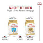 Royal Canin Royal Canin Labrador Retriever Puppy Dry Dog Food, 30lb