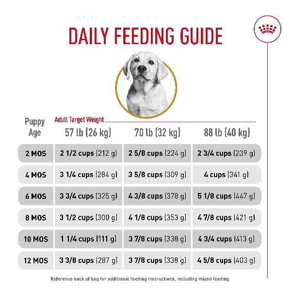 Royal Canin Royal Canin Labrador Retriever Puppy Dry Dog Food, 30lb