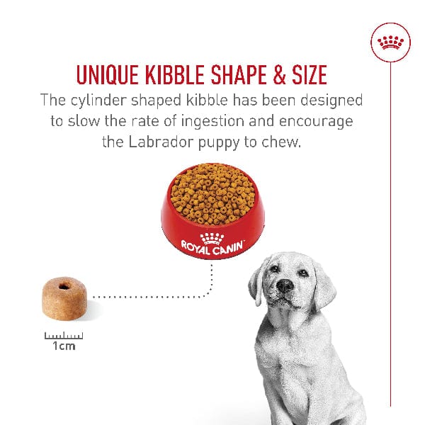 Royal Canin Labrador Retriever Puppy Dry Dog Food, 30lb – Petland