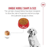 Royal Canin Royal Canin Labrador Retriever Puppy Dry Dog Food, 30lb
