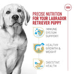 Royal Canin Royal Canin Labrador Retriever Puppy Dry Dog Food, 30lb