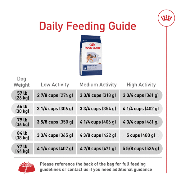 Royal Canin Royal Canin Large Adult Dry Dog Food
